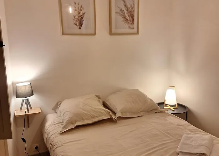 Apartment Victor Hugo - Hyper Centre 2